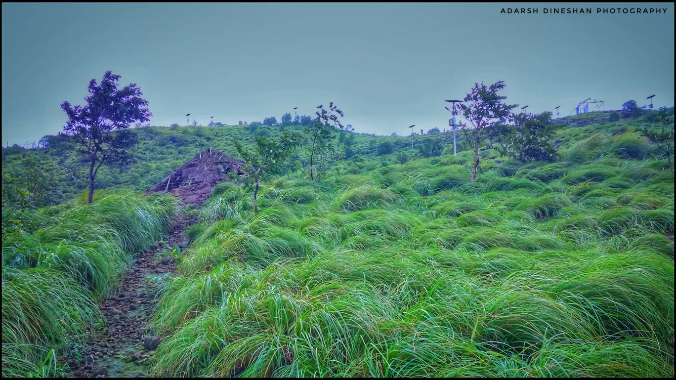 Photo of Palakkayamthattu Adventurepark By Adarsh Dineshan