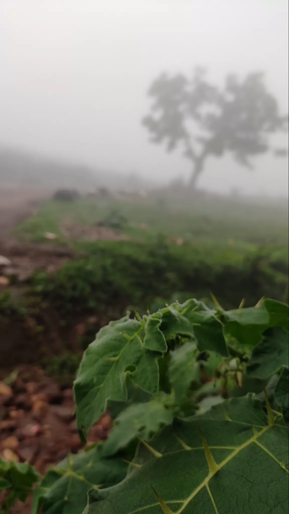 Photo of Pushpagiri Wildlife Sanctuary By Adarsh Dineshan