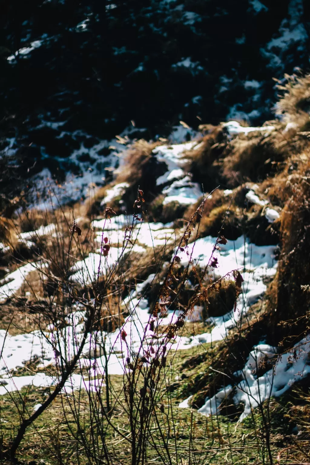 Photo of Kullu By Dhruv Jain