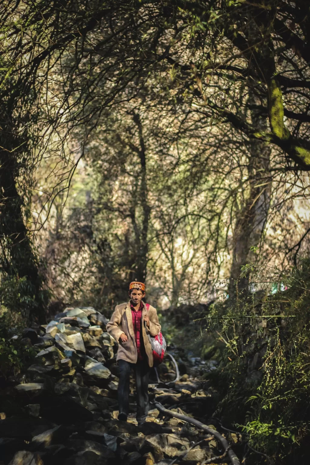 Photo of Kullu By Dhruv Jain
