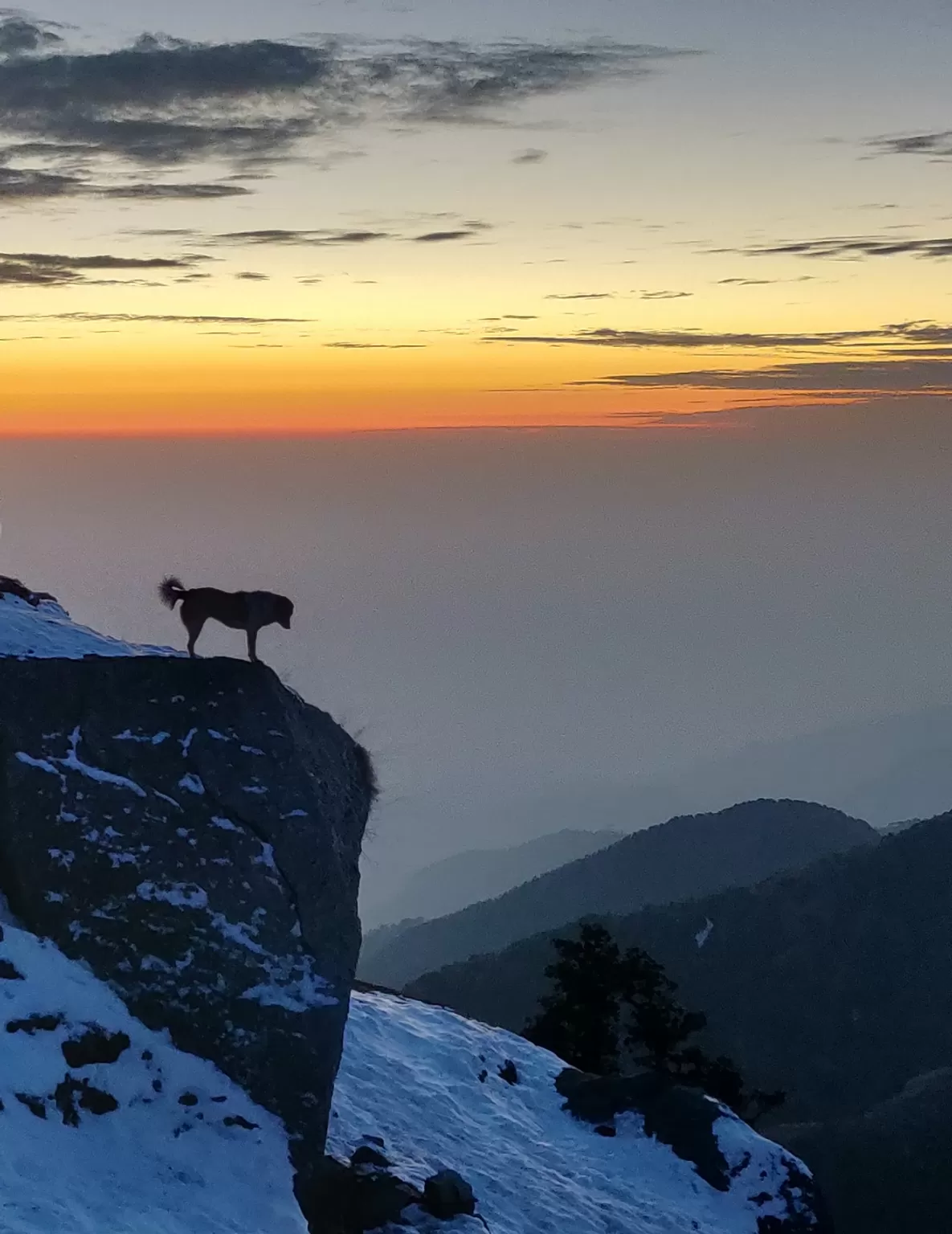 Photo of Triund By eternal_explorer6