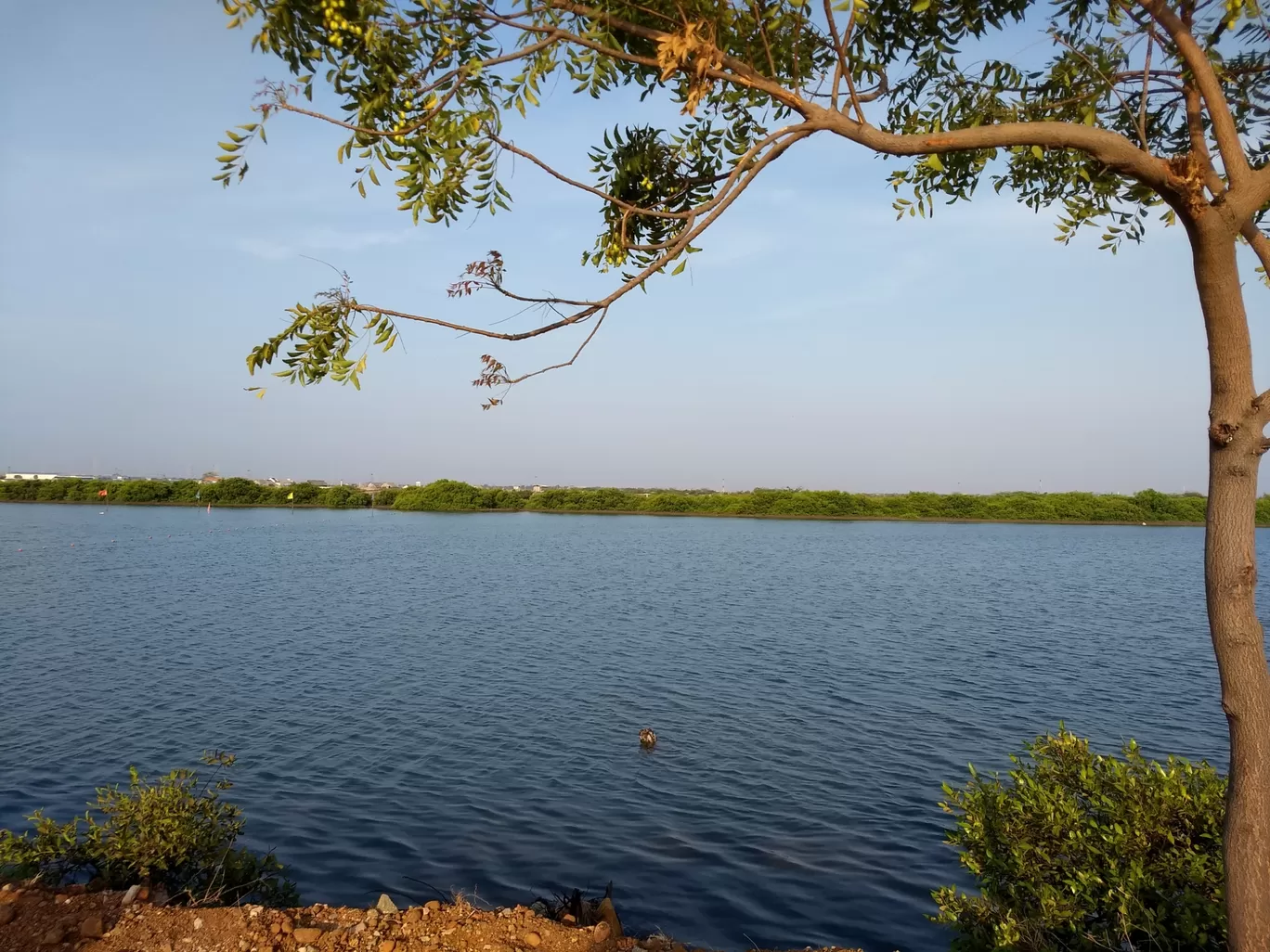 Photo of Tuticorin Beach By swaroopa