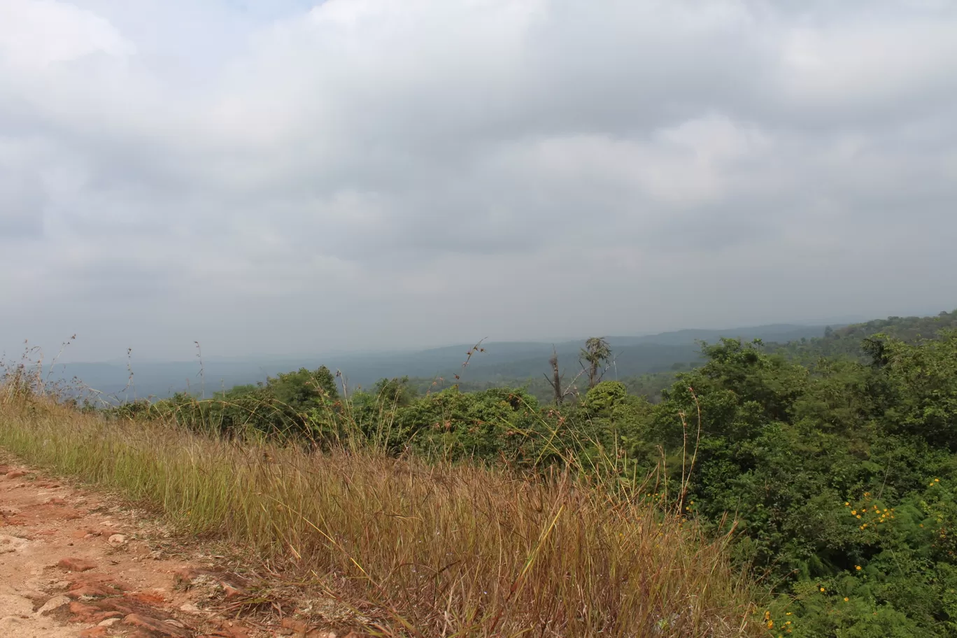 Photo of Sakleshpur By Animesh Ghosh