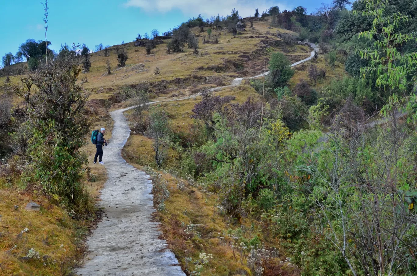 Photo of Sandakhphu By Satyaki Sarkar