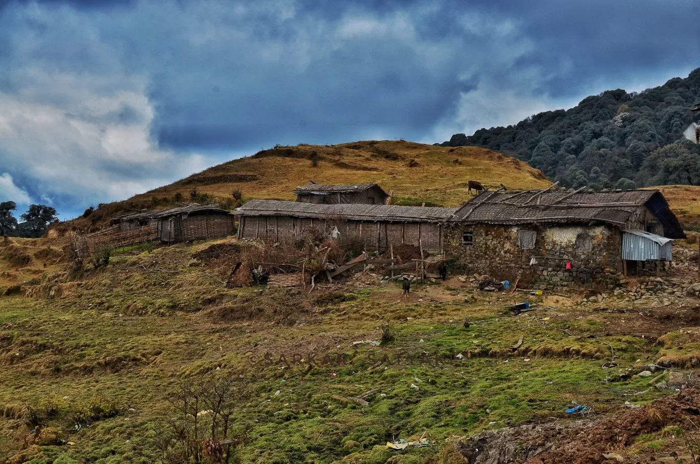 Photo of Sandakhphu By Satyaki Sarkar