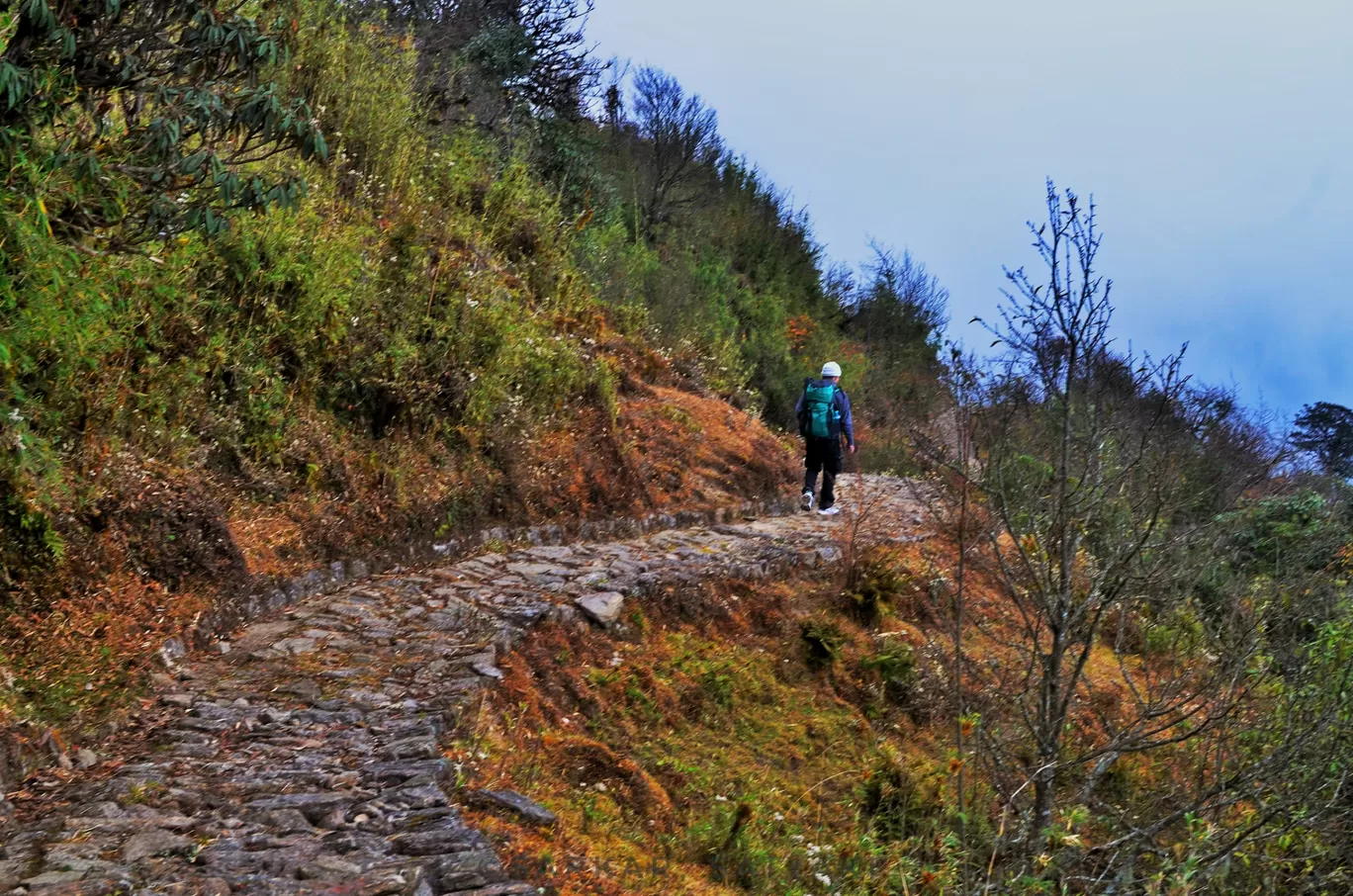 Photo of Sandakhphu By Satyaki Sarkar