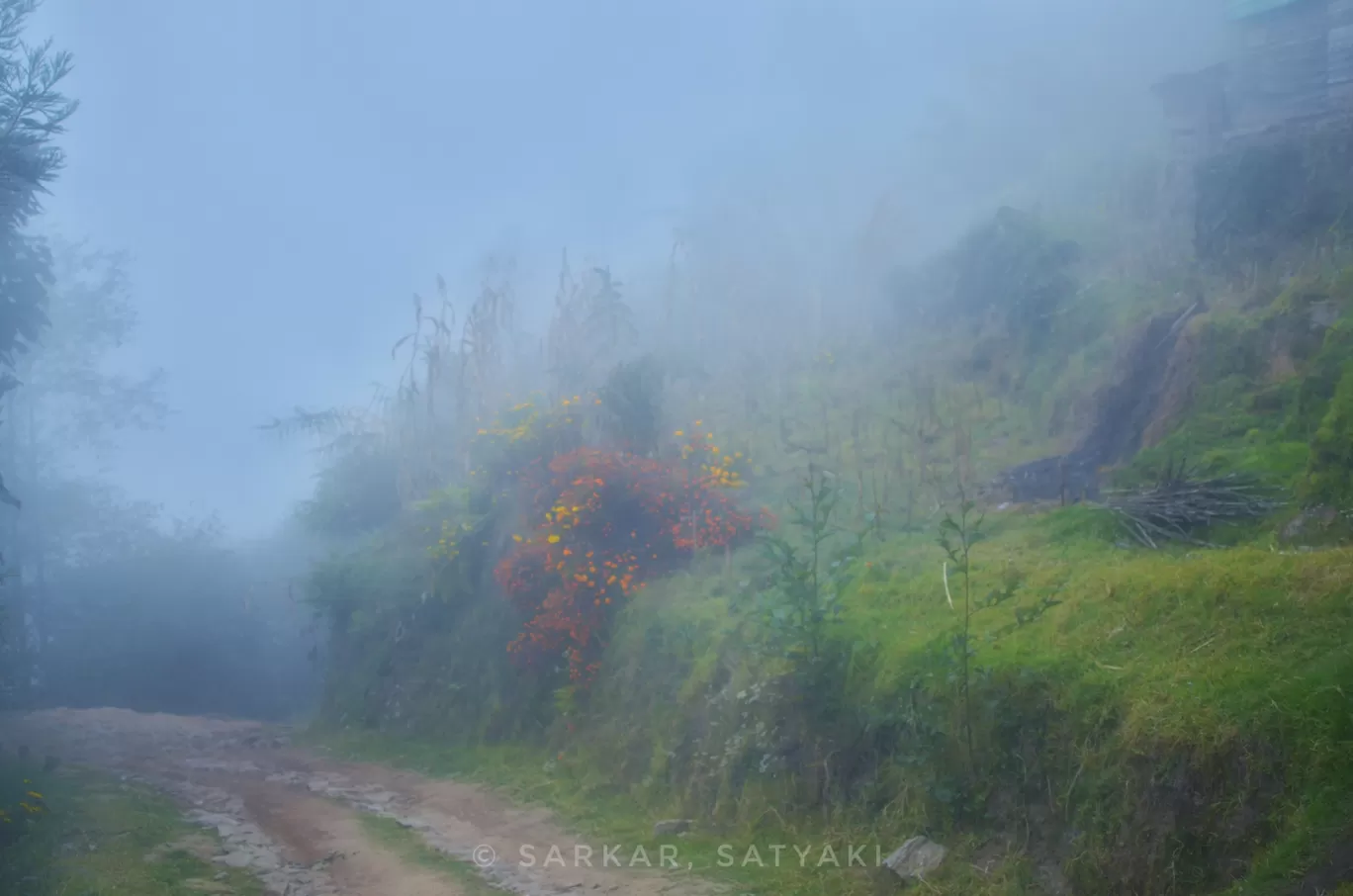 Photo of Sandakhphu By Satyaki Sarkar