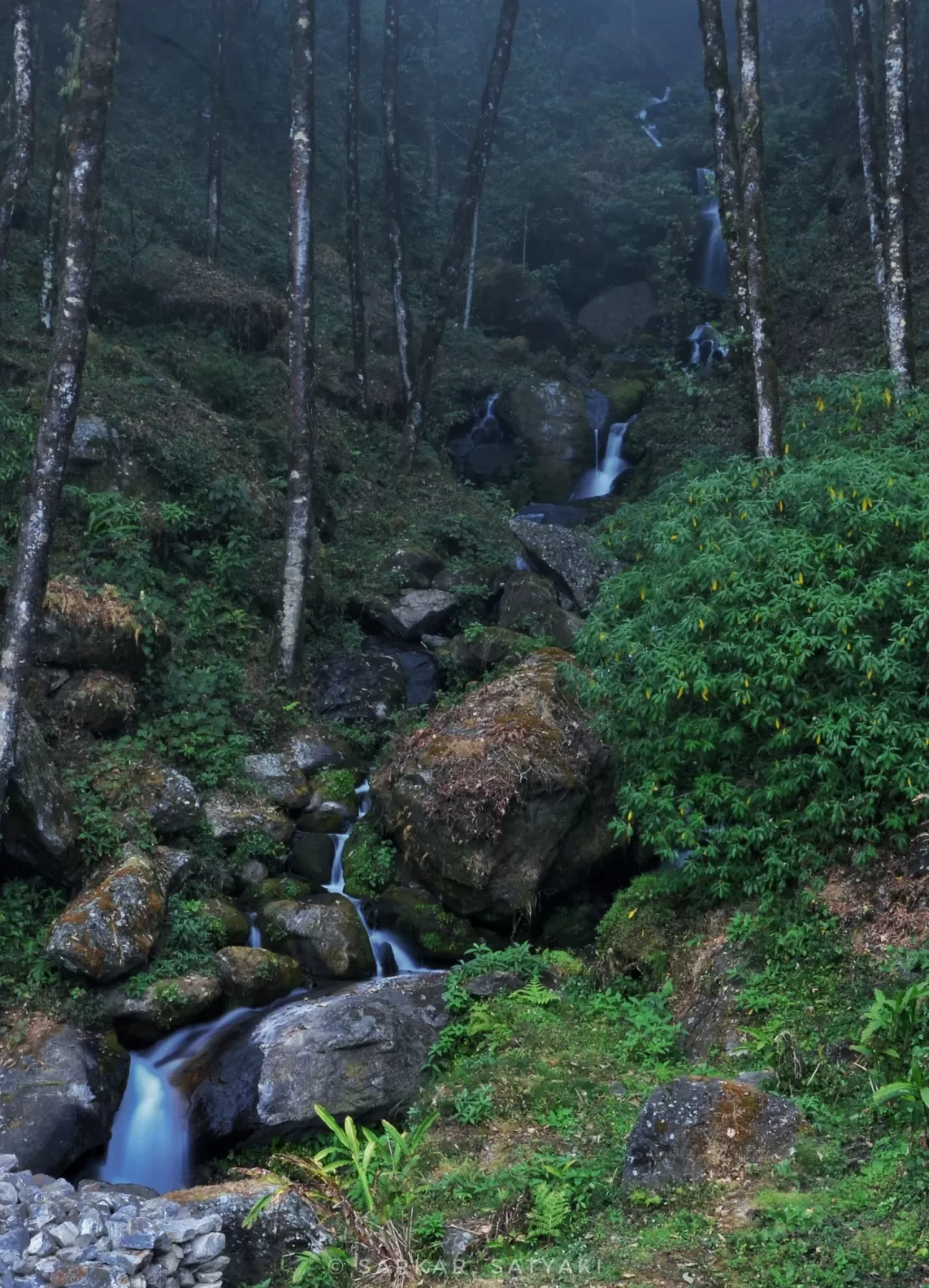 Photo of Sandakhphu By Satyaki Sarkar