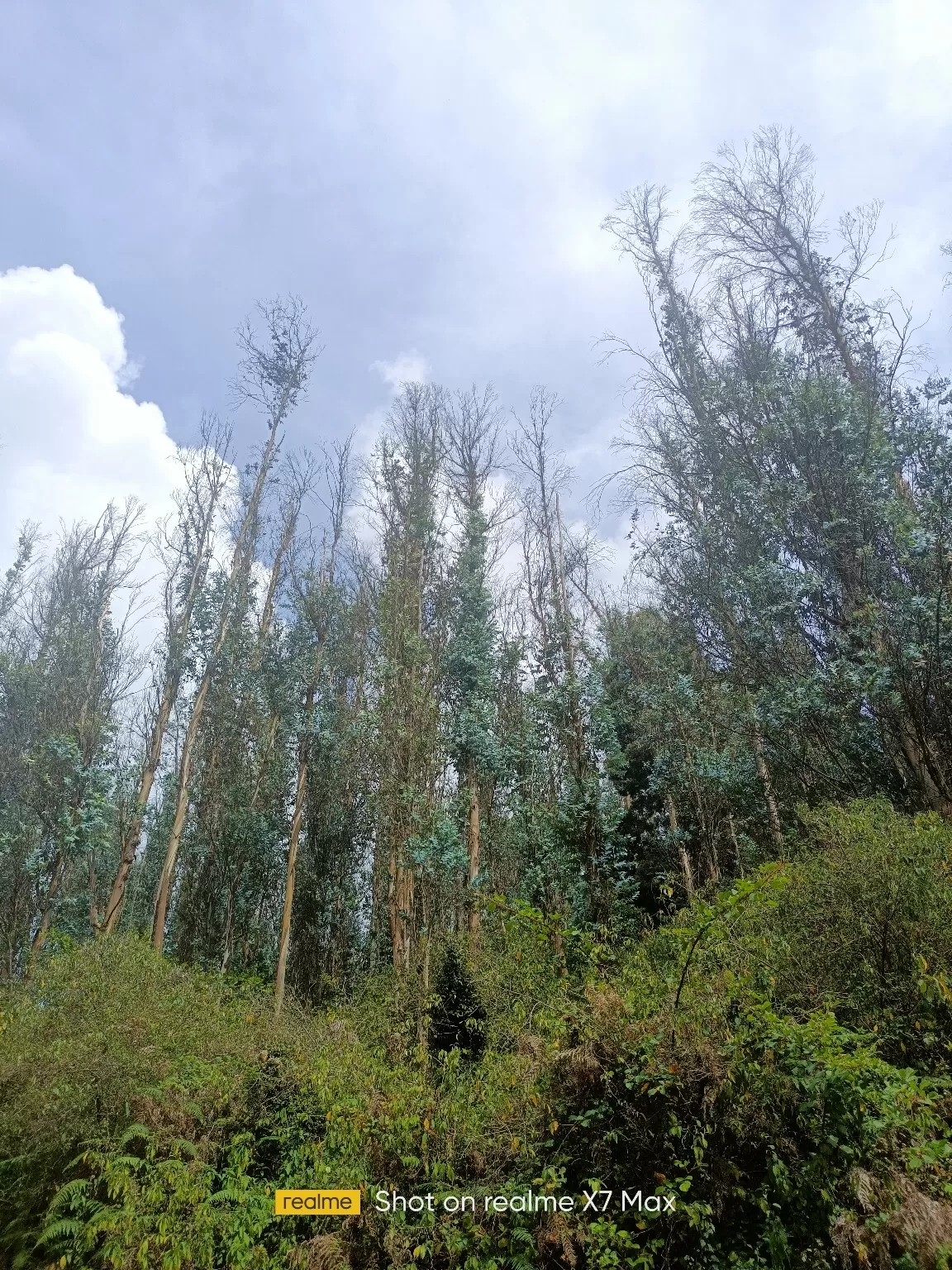 Photo of Ooty hills station By Aswanth Kumar