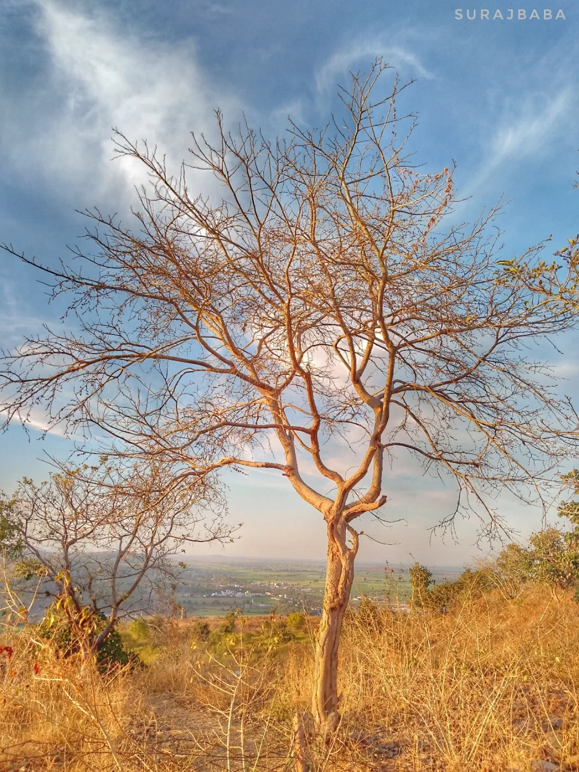 Photo of Raisen By Suraj Singh