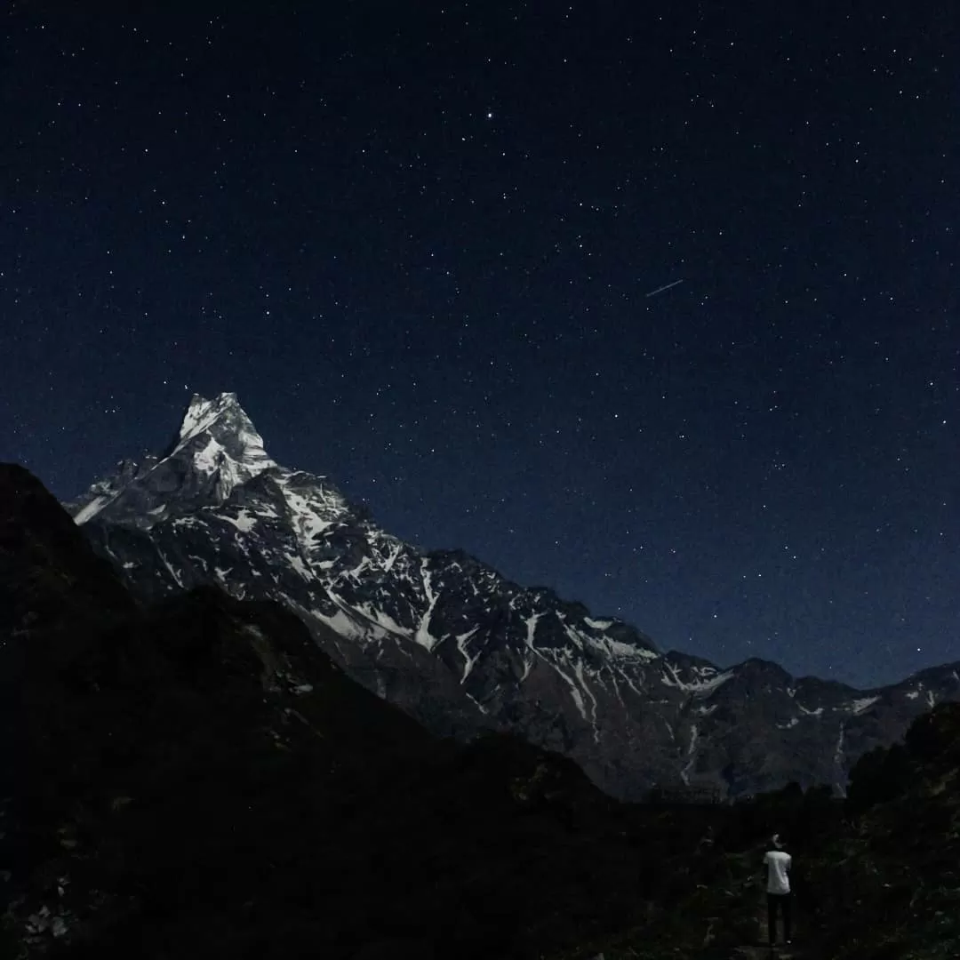 Photo of Mardi Himal Base Camp By Sayed Luqman