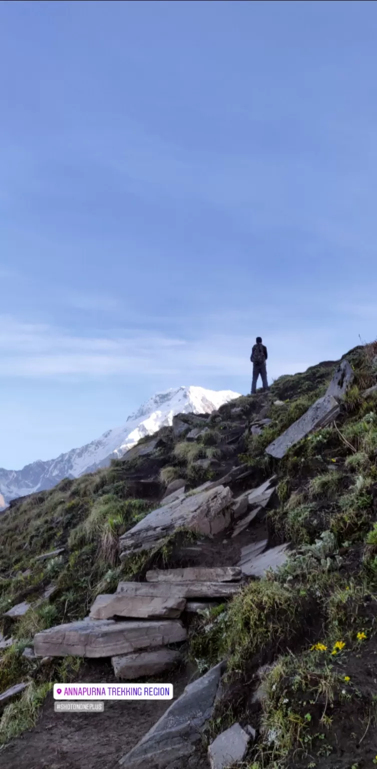 Photo of Mardi Himal Base Camp By Sayed Luqman