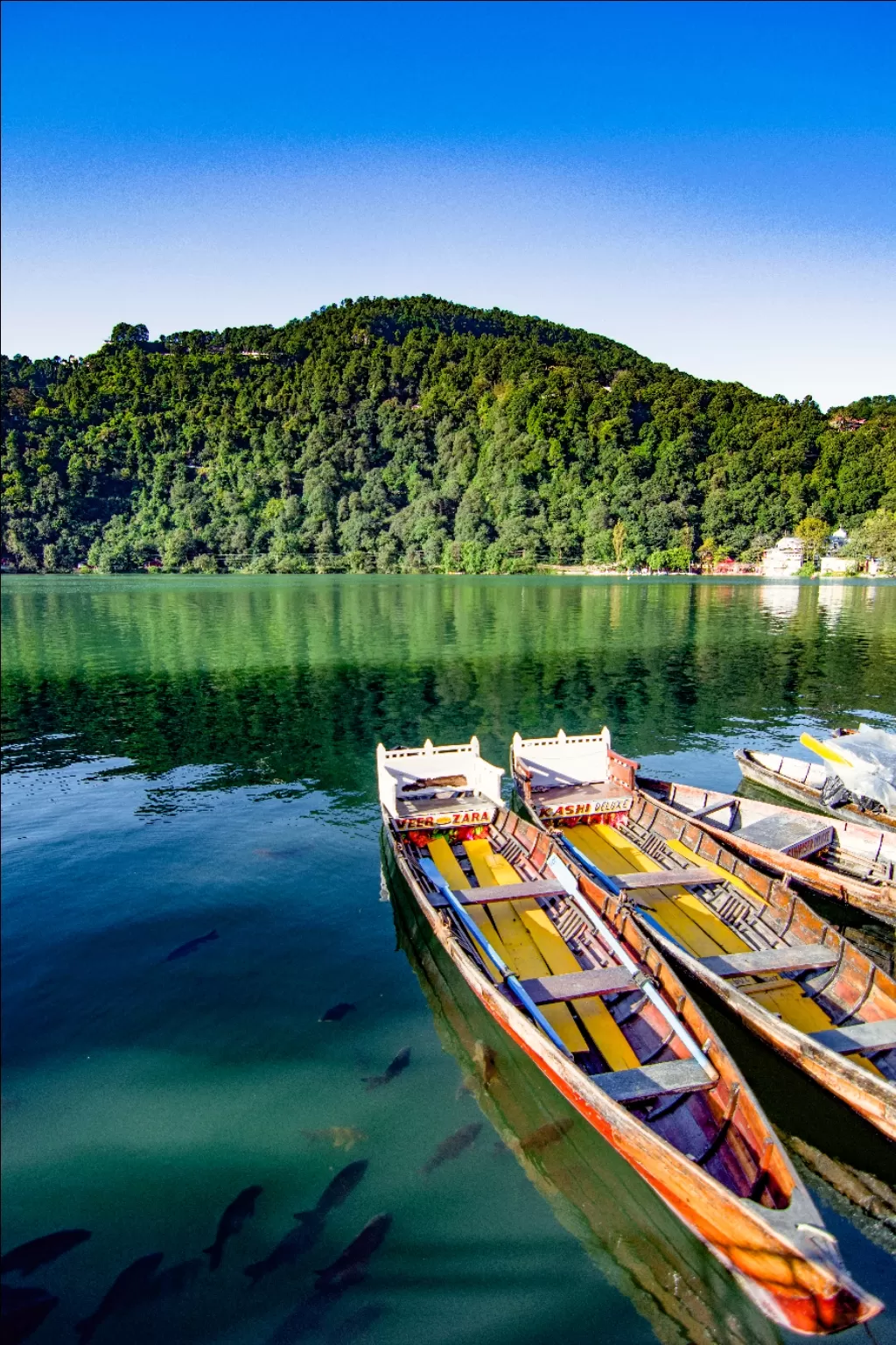 Photo of Nainital By Amit Sah