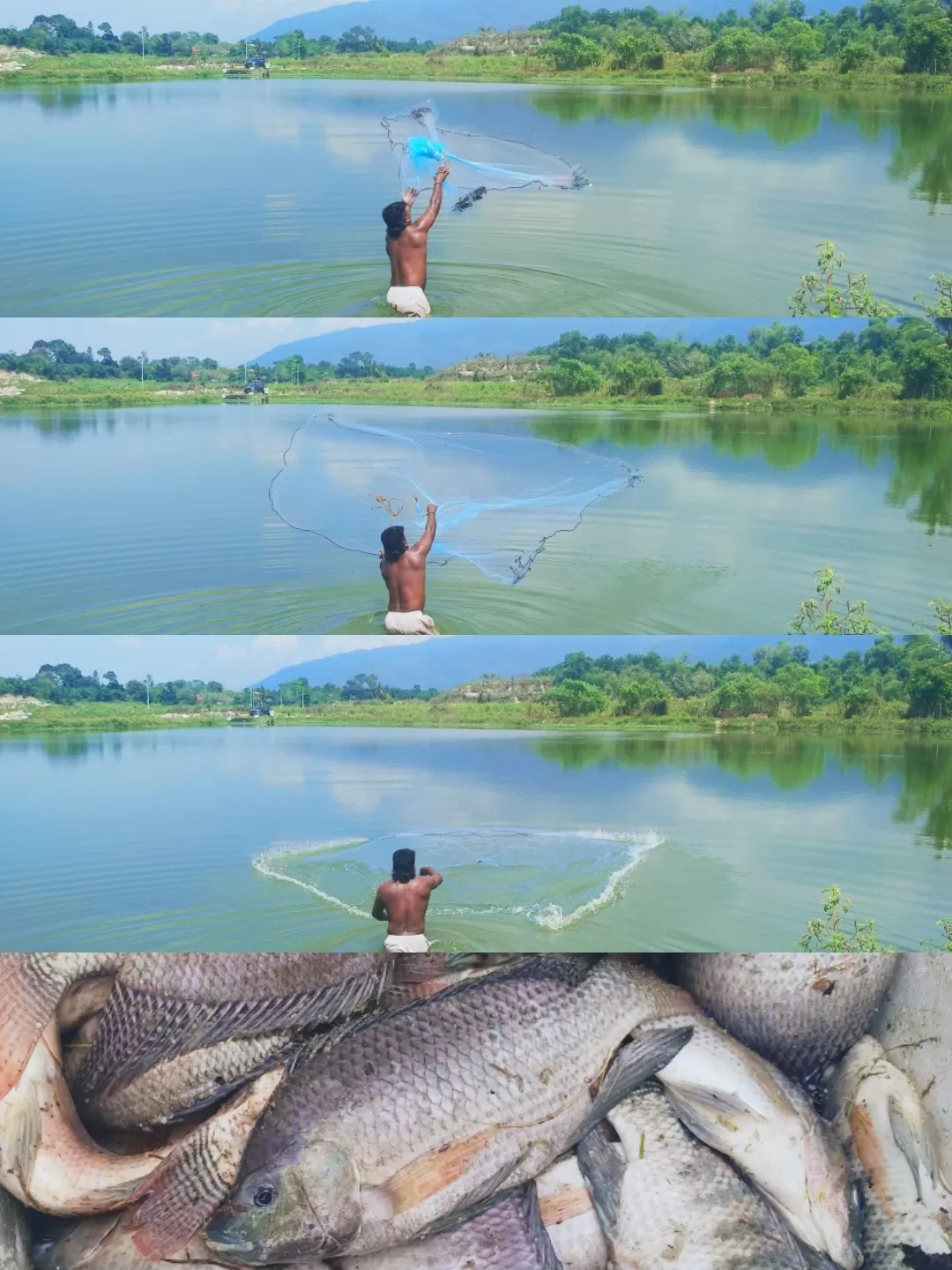 Photo of Malaysia By Anand Ayyapankutty