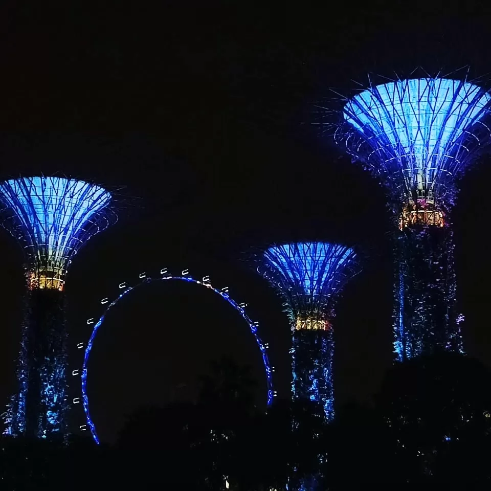 Photo of Gardens by the Bay By Manasi K