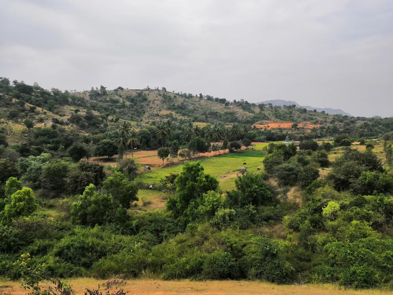 Photo of Dandiganahalli By Preeti Prashanth