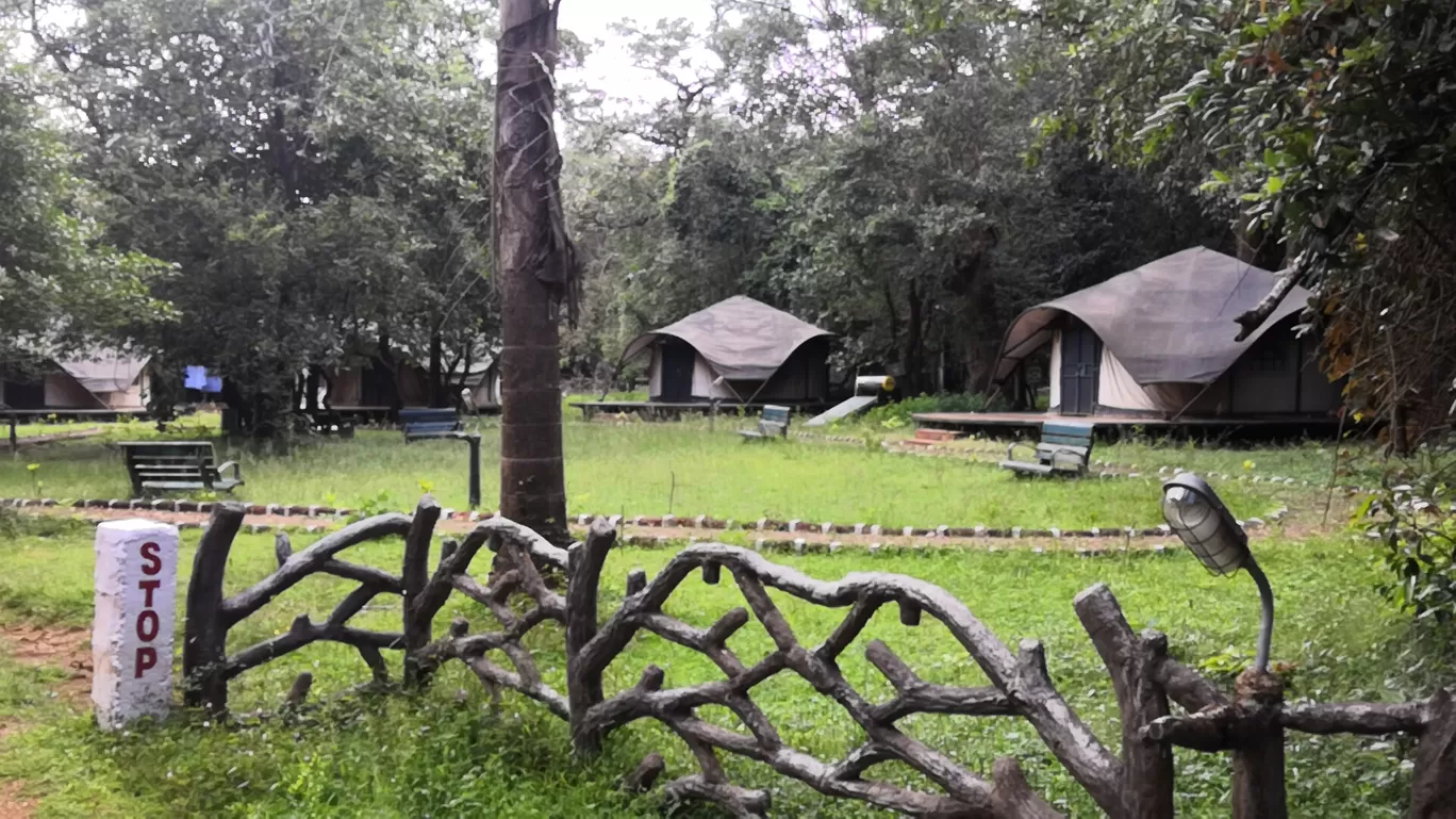Photo of Dandeli By Preeti Prashanth