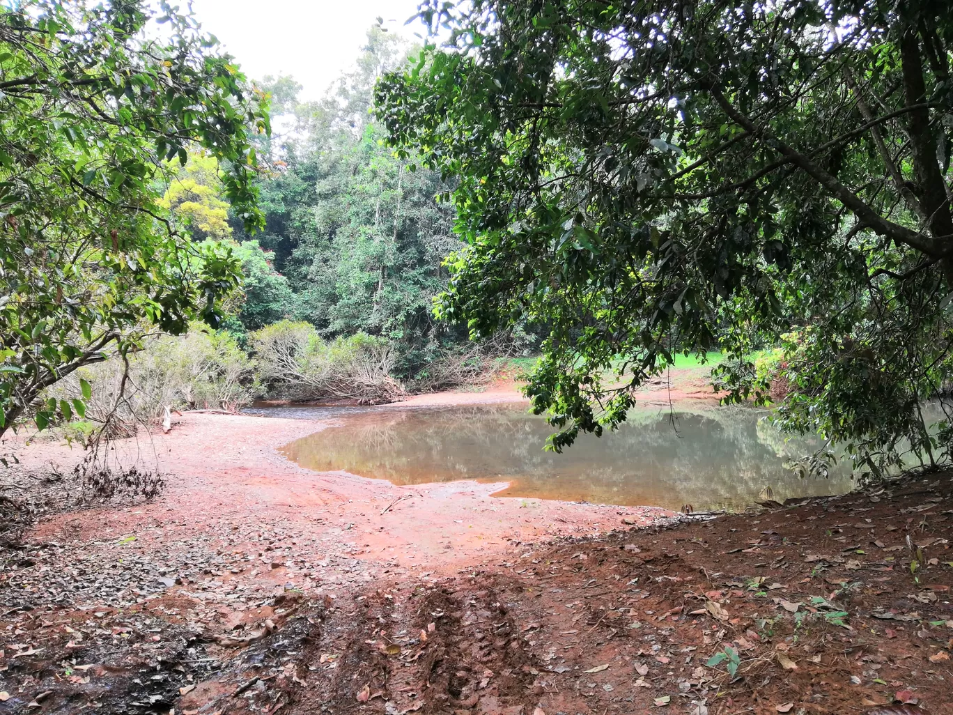 Photo of Dandeli By Preeti Prashanth