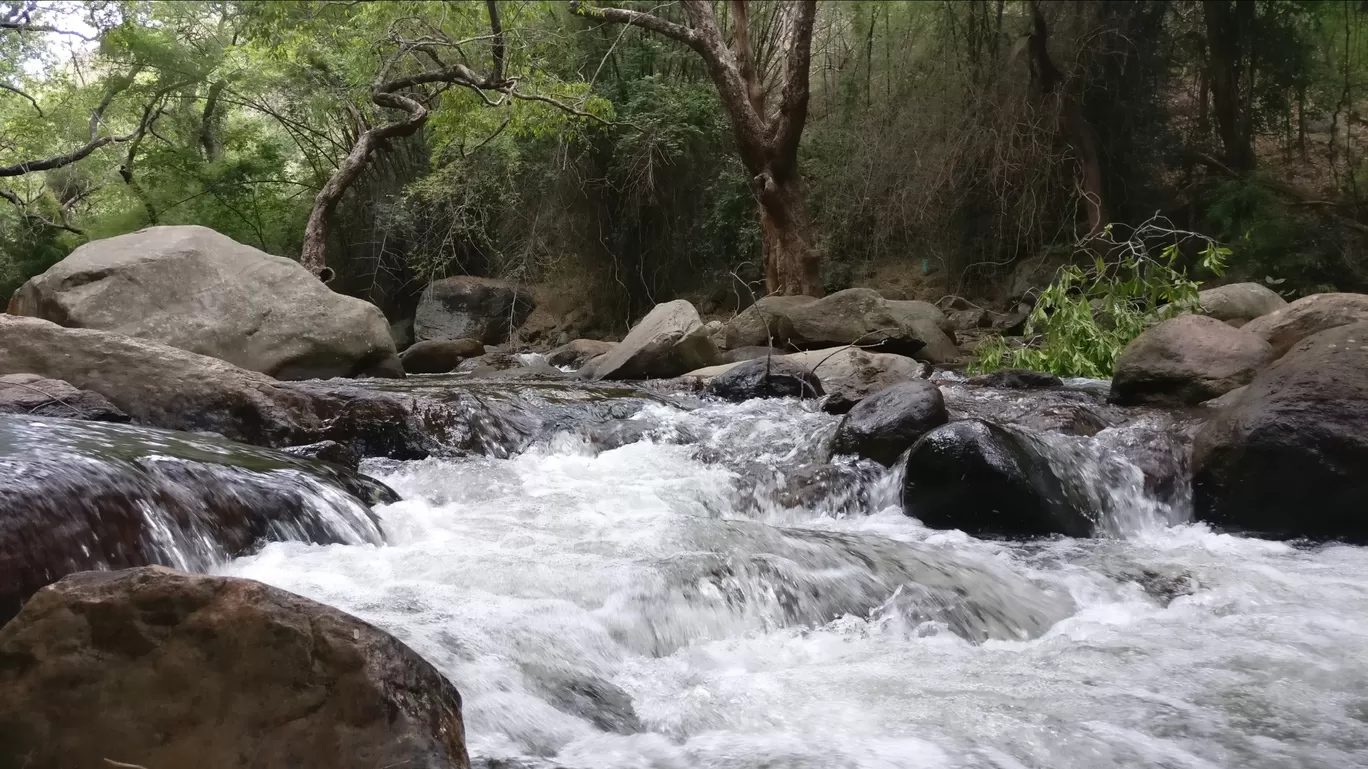 Photo of Kalakkad By Edwin Vimal