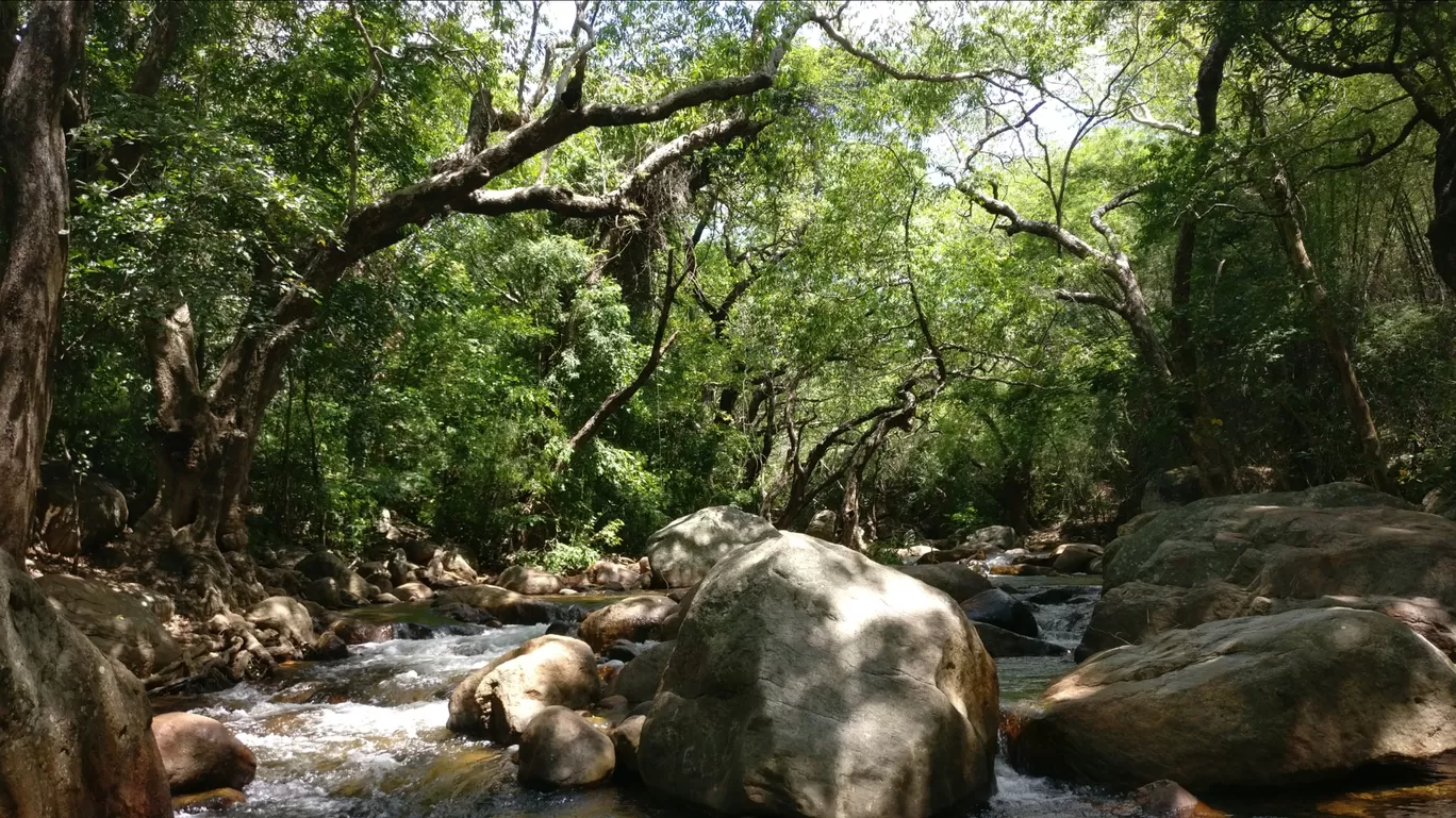 Photo of Kalakkad By Edwin Vimal