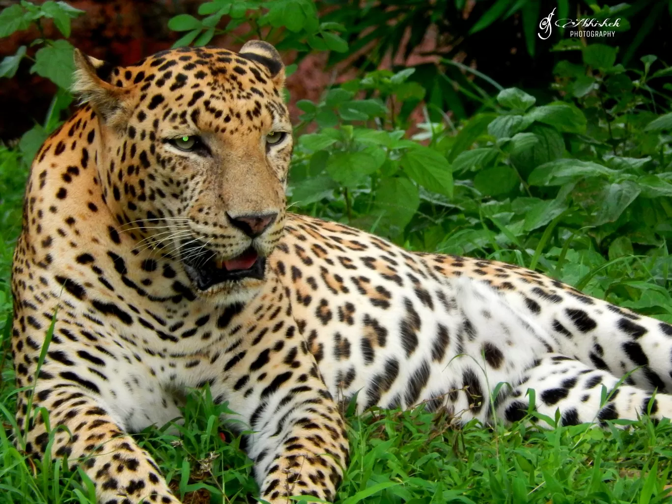 Photo of Nandankanan Zoological Park By Kumar Abhishek 