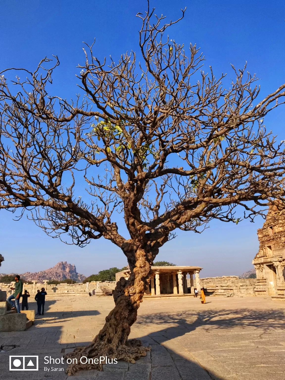 Photo of Hampi By Saran Pulipati