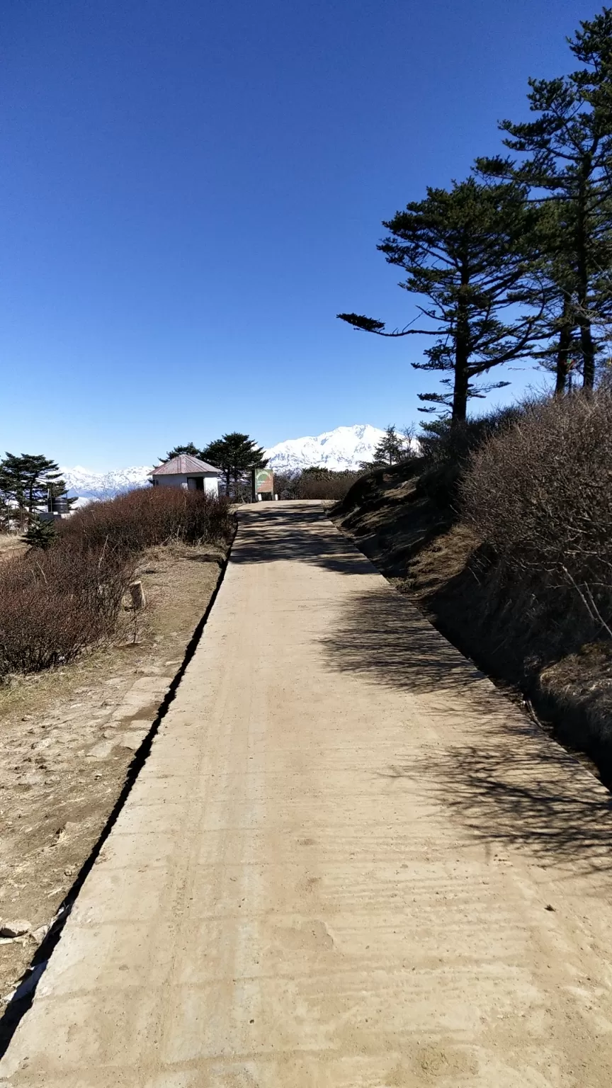 Photo of Sandakhphu By Kumaril Shivam