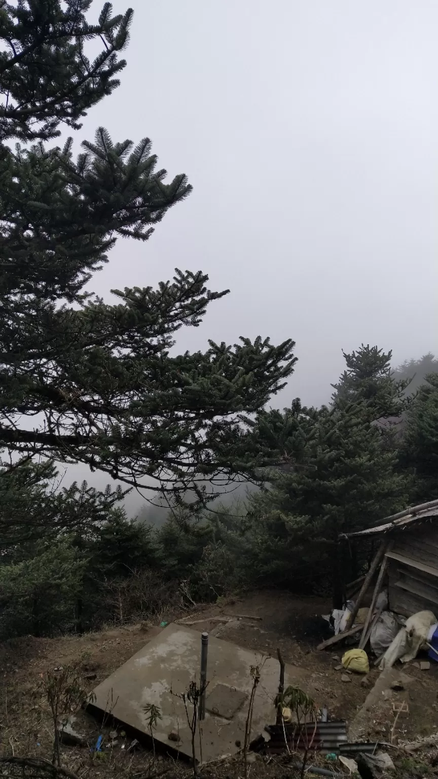 Photo of Sandakhphu By Kumaril Shivam