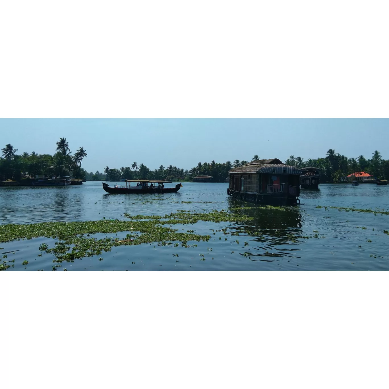 Photo of Alappuzha By Karthik Chelladurai