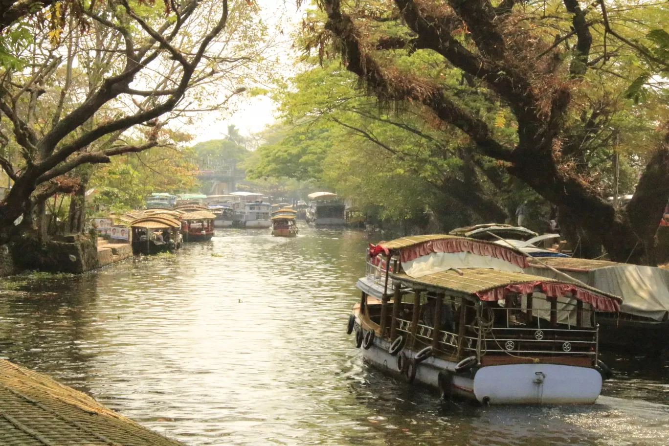 Photo of Alappuzha By Karthik Chelladurai