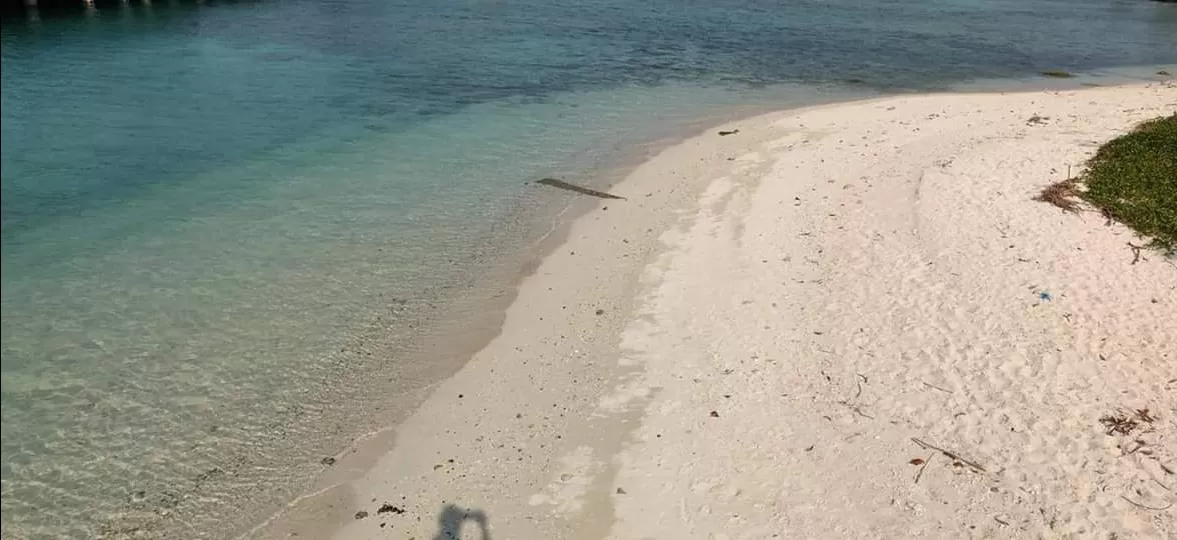 Photo of Havelock Island By Vipin Rohilla