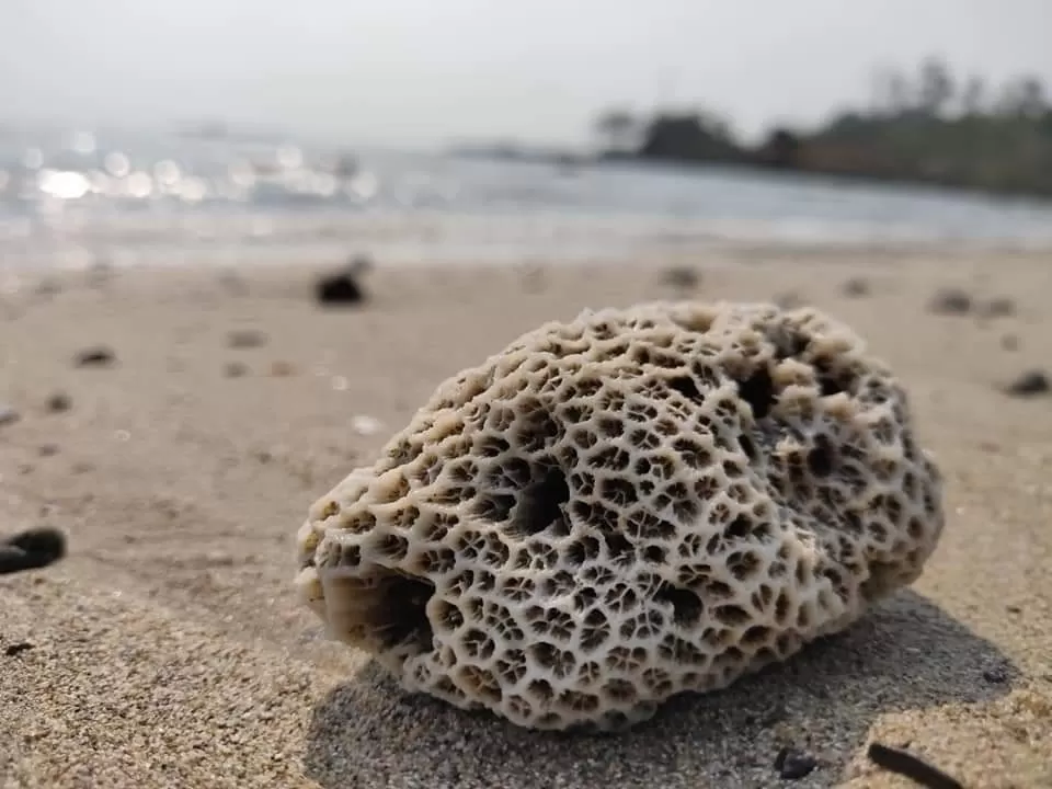 Photo of Havelock Island By Vipin Rohilla