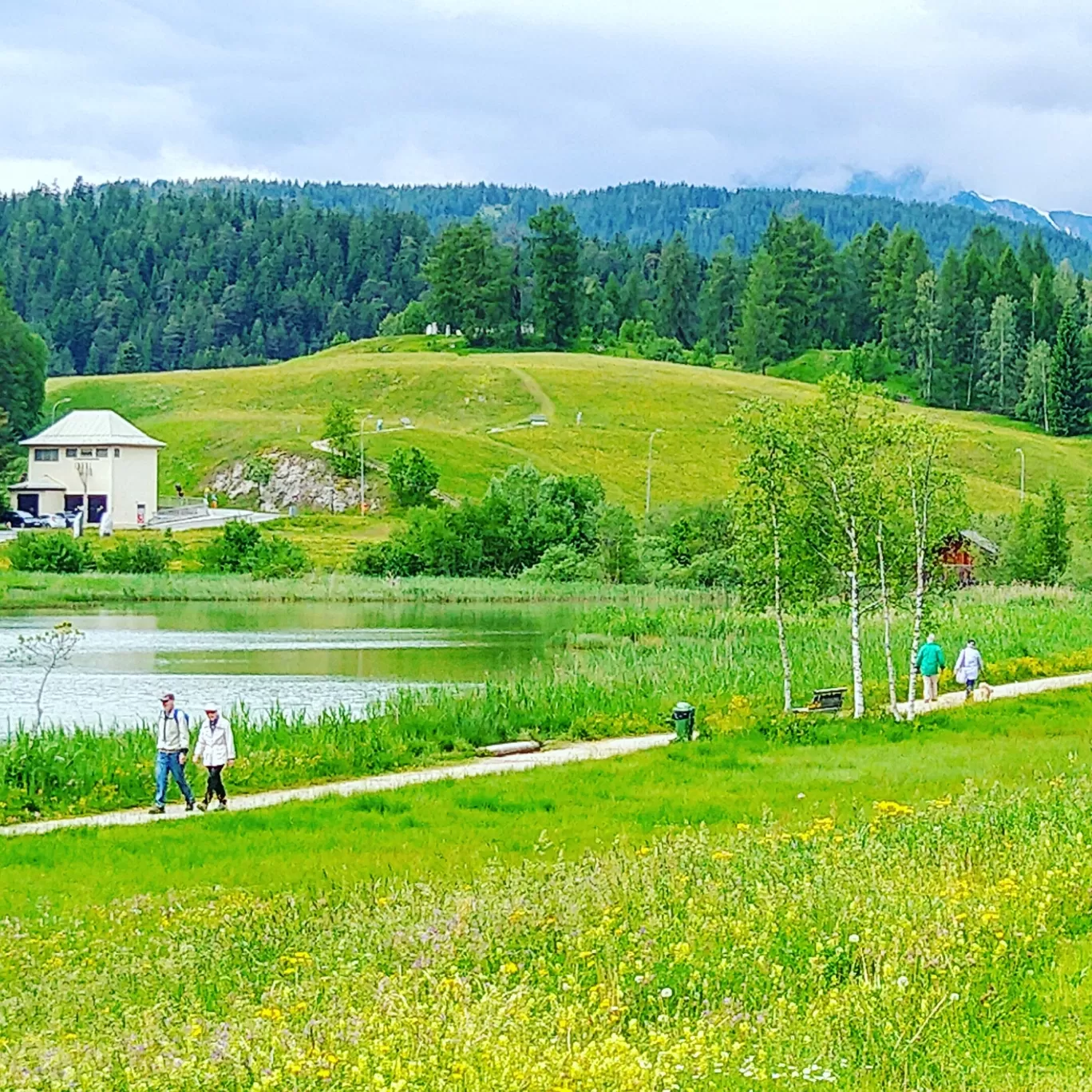 Photo of Wildsee By Sudeep Thakur