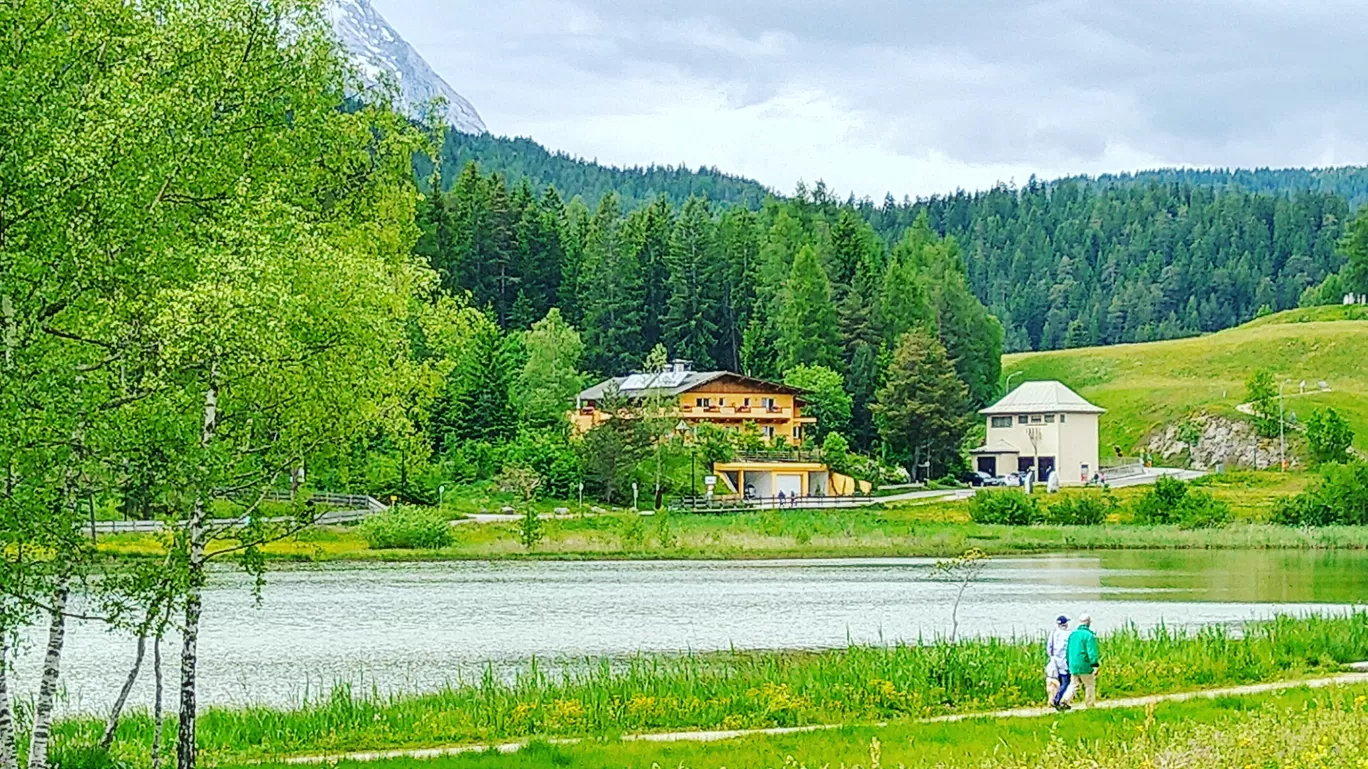 Photo of Wildsee By Sudeep Thakur