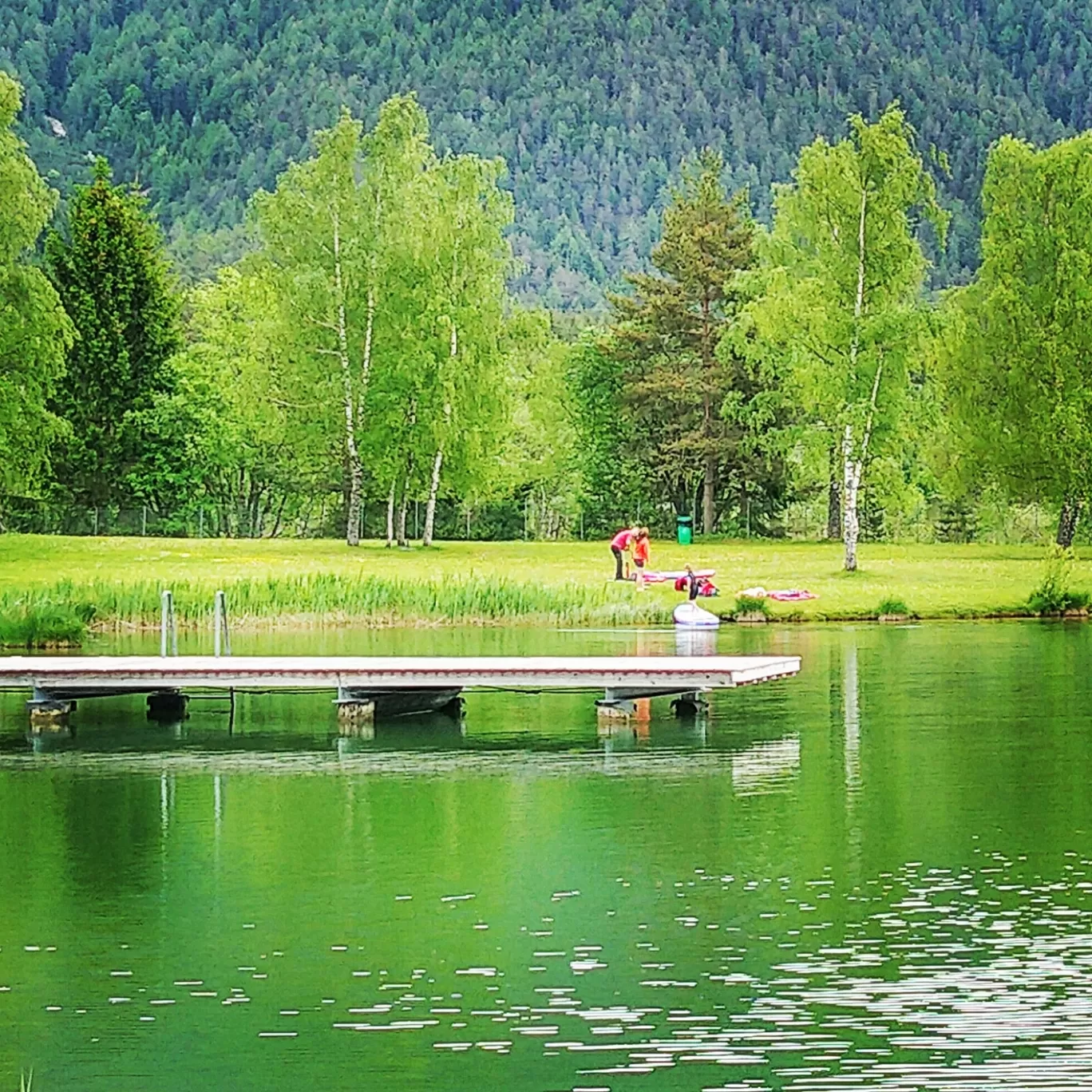 Photo of Wildsee By Sudeep Thakur