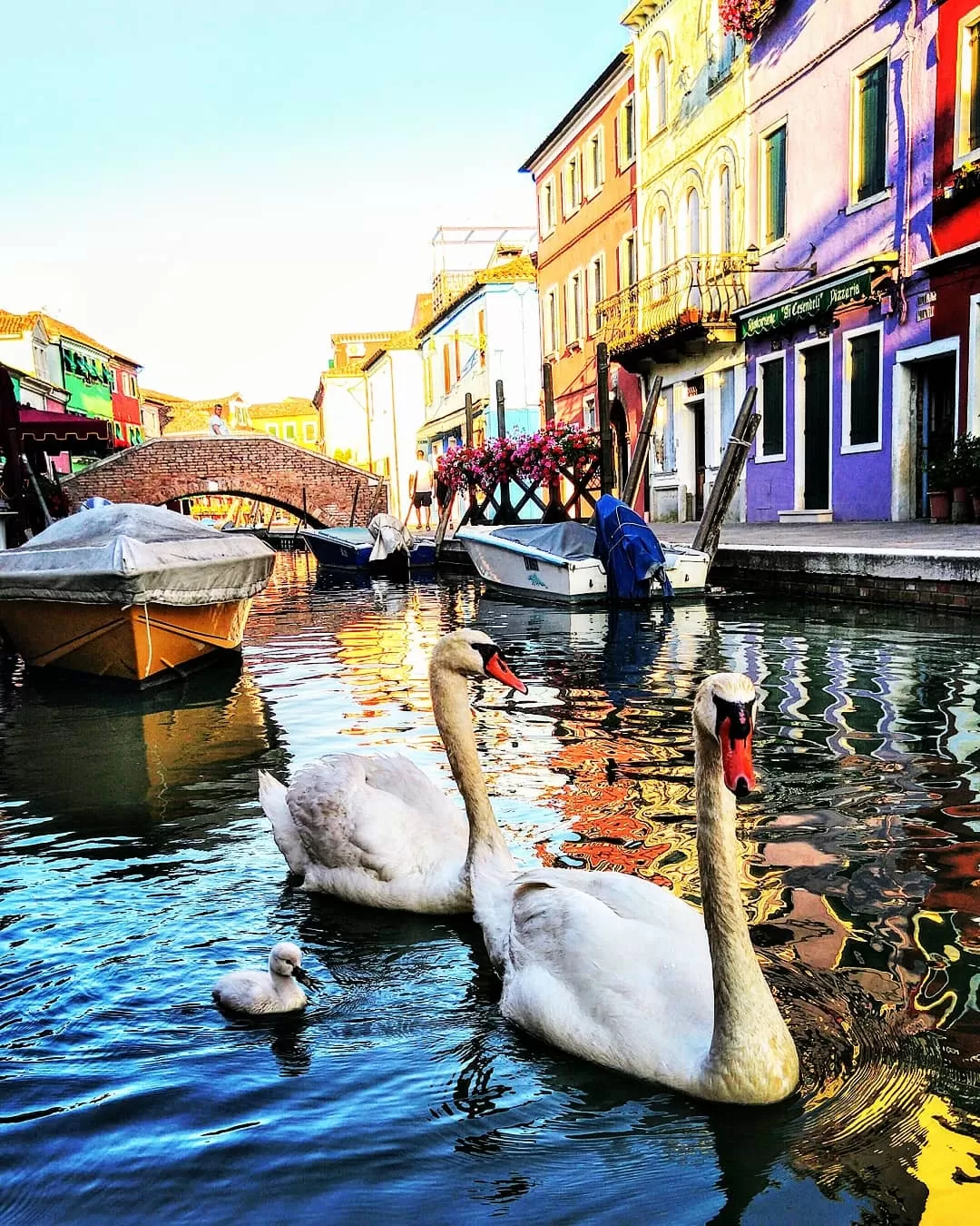 Photo of Burano By Sudeep Thakur