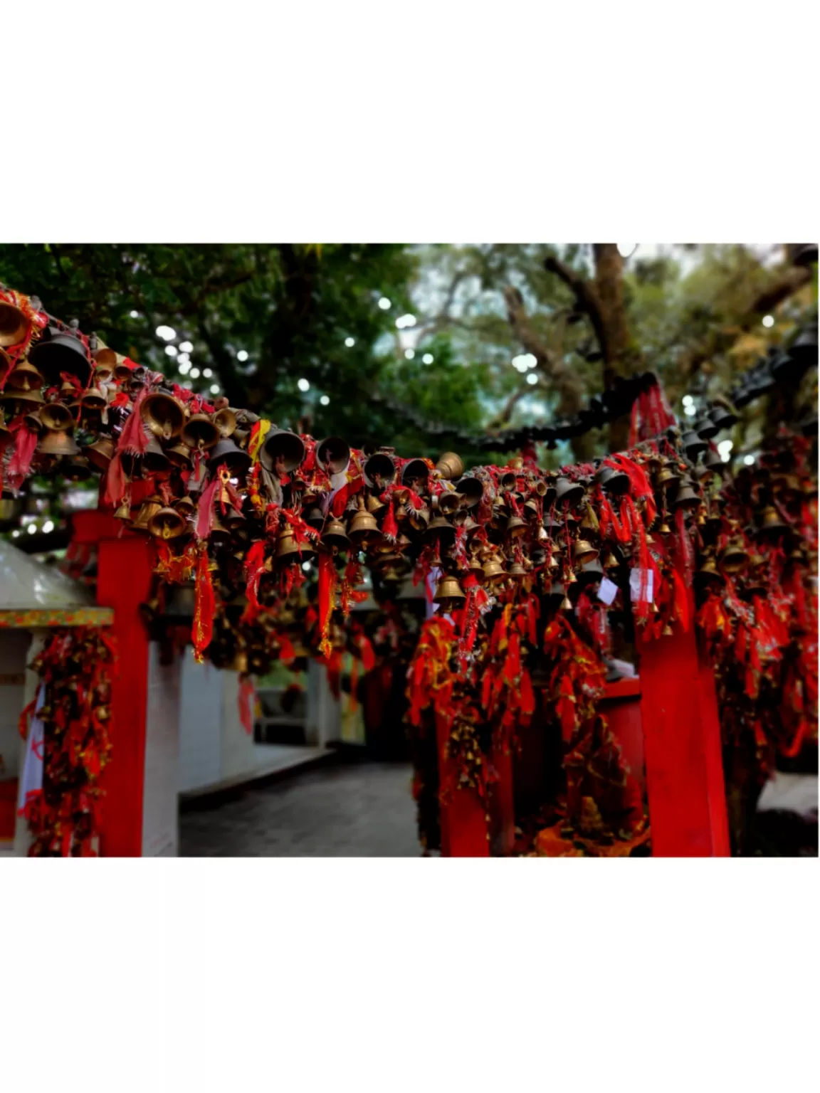 Photo of Nainital By Tripsy