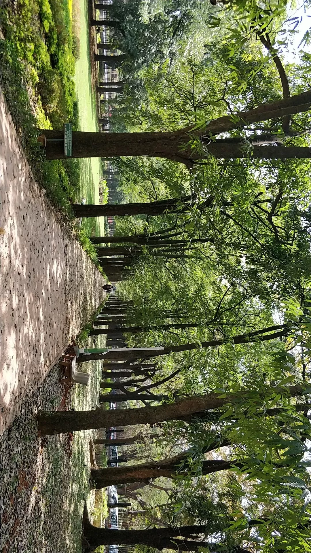 Photo of Bengaluru By Sankalp Acharya