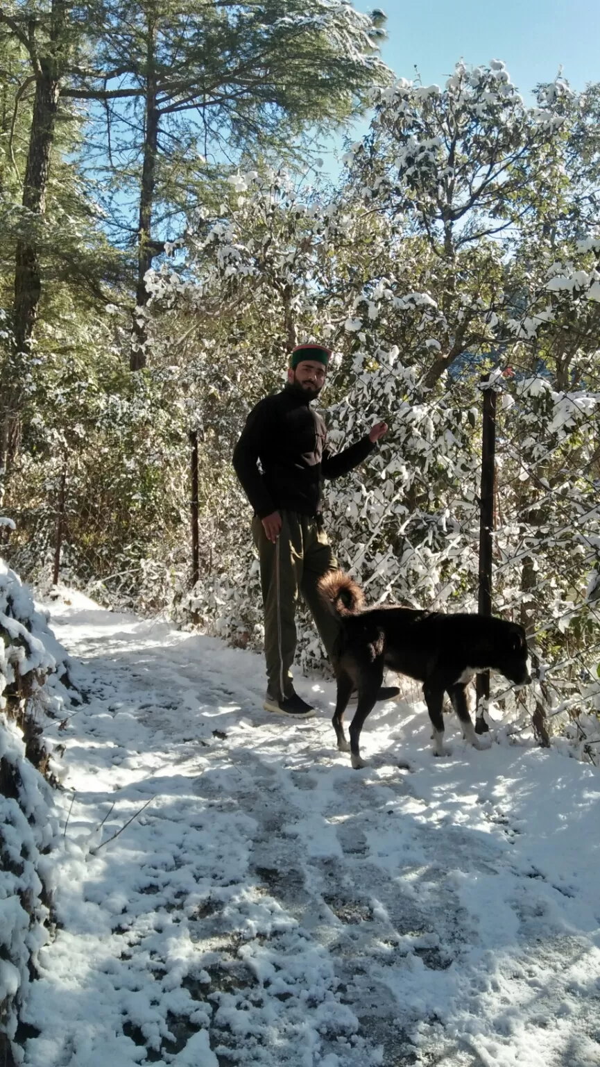 Photo of Chail By Deepak Panwar