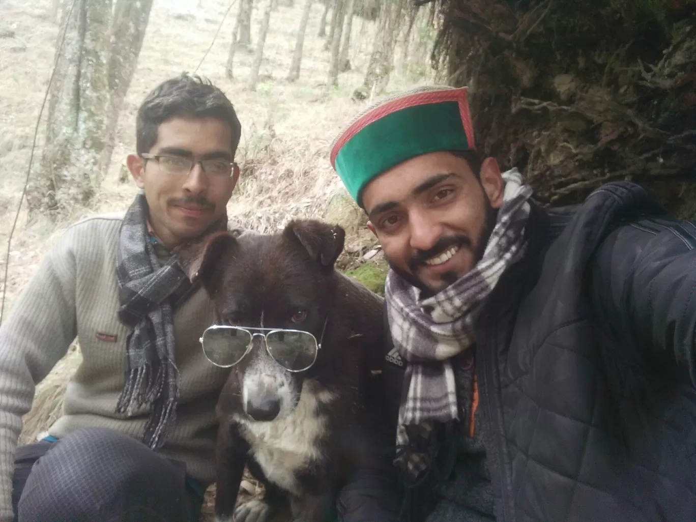 Photo of Chail By Deepak Panwar