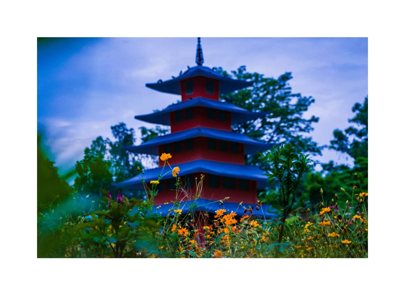 Photo of Japanese Garden By Rishi Vyas