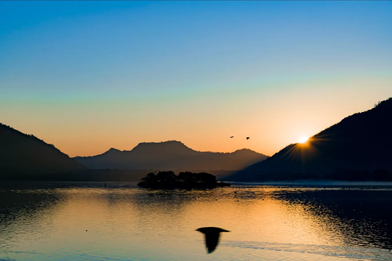 Photo of Jal Mahal By Rishi Vyas