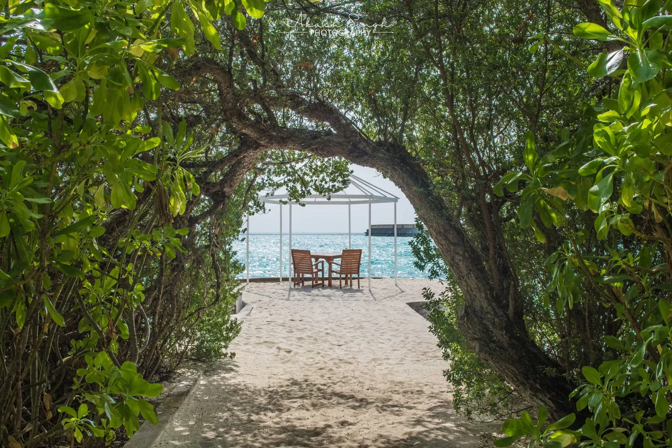 Photo of Centara Ras Fushi Resort & Spa Maldives By Akash Singh