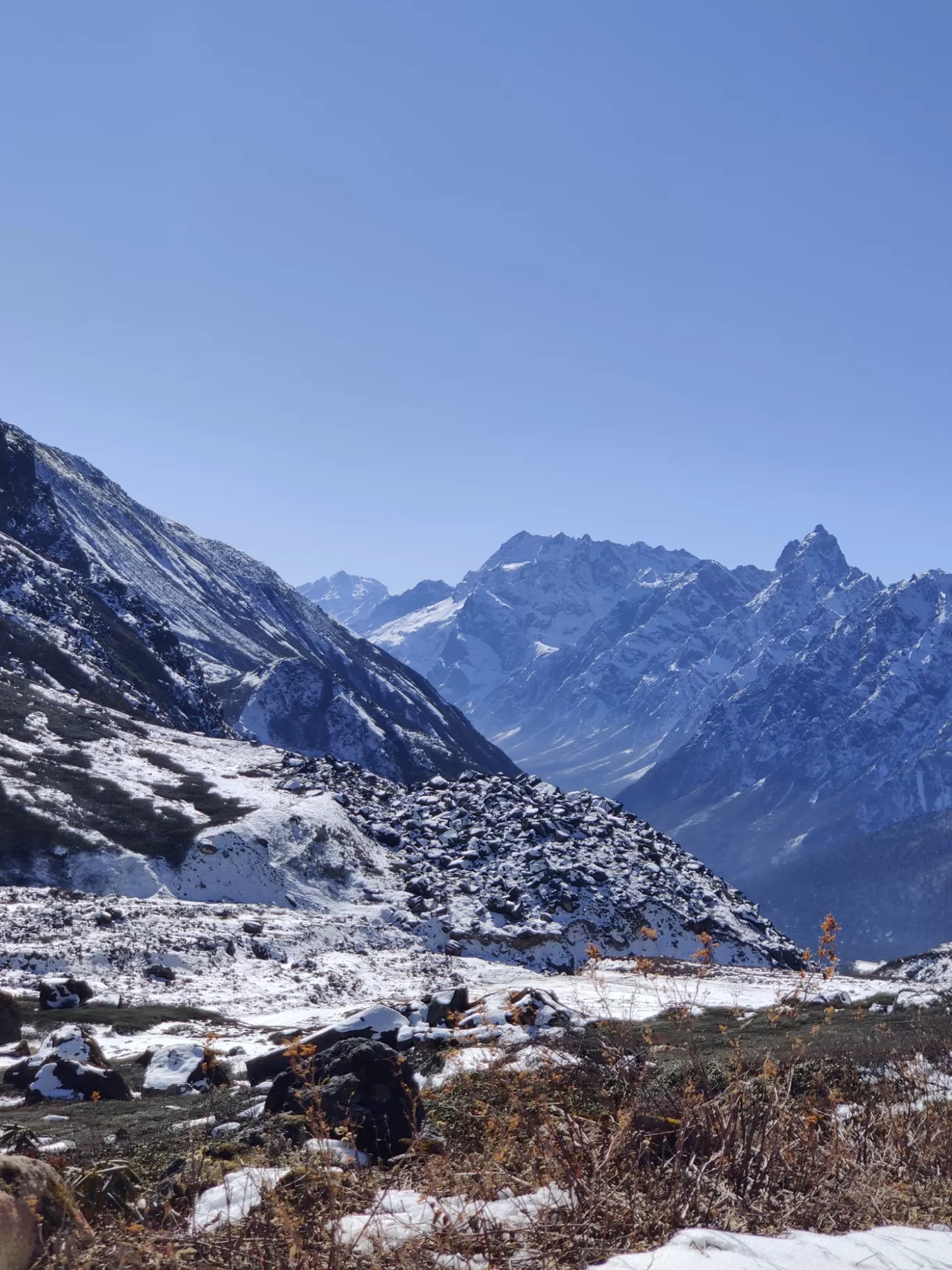 Photo of BUNBUNI By Ias Mounika