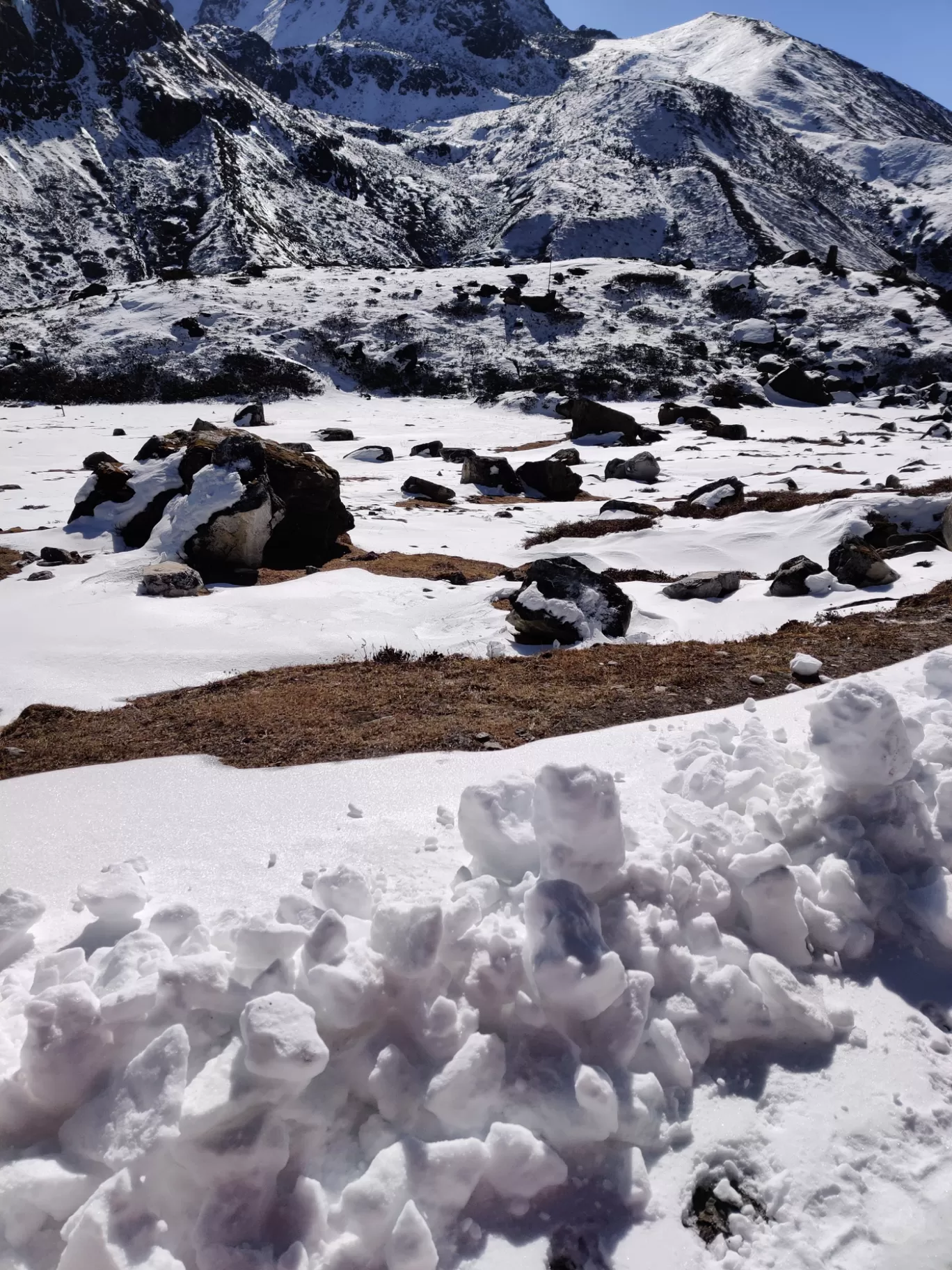 Photo of BUNBUNI By Ias Mounika