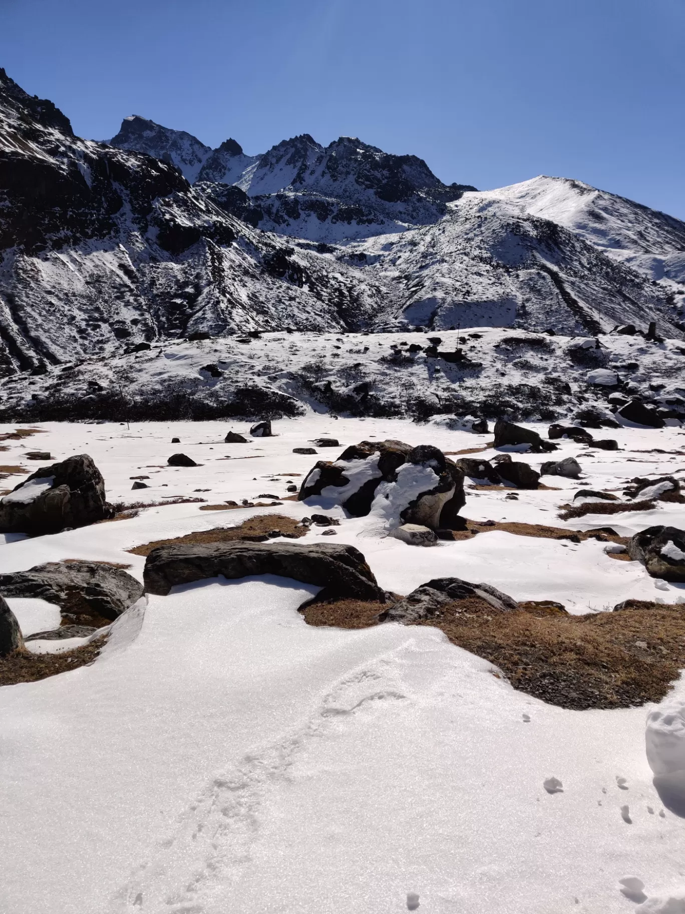 Photo of BUNBUNI By Ias Mounika