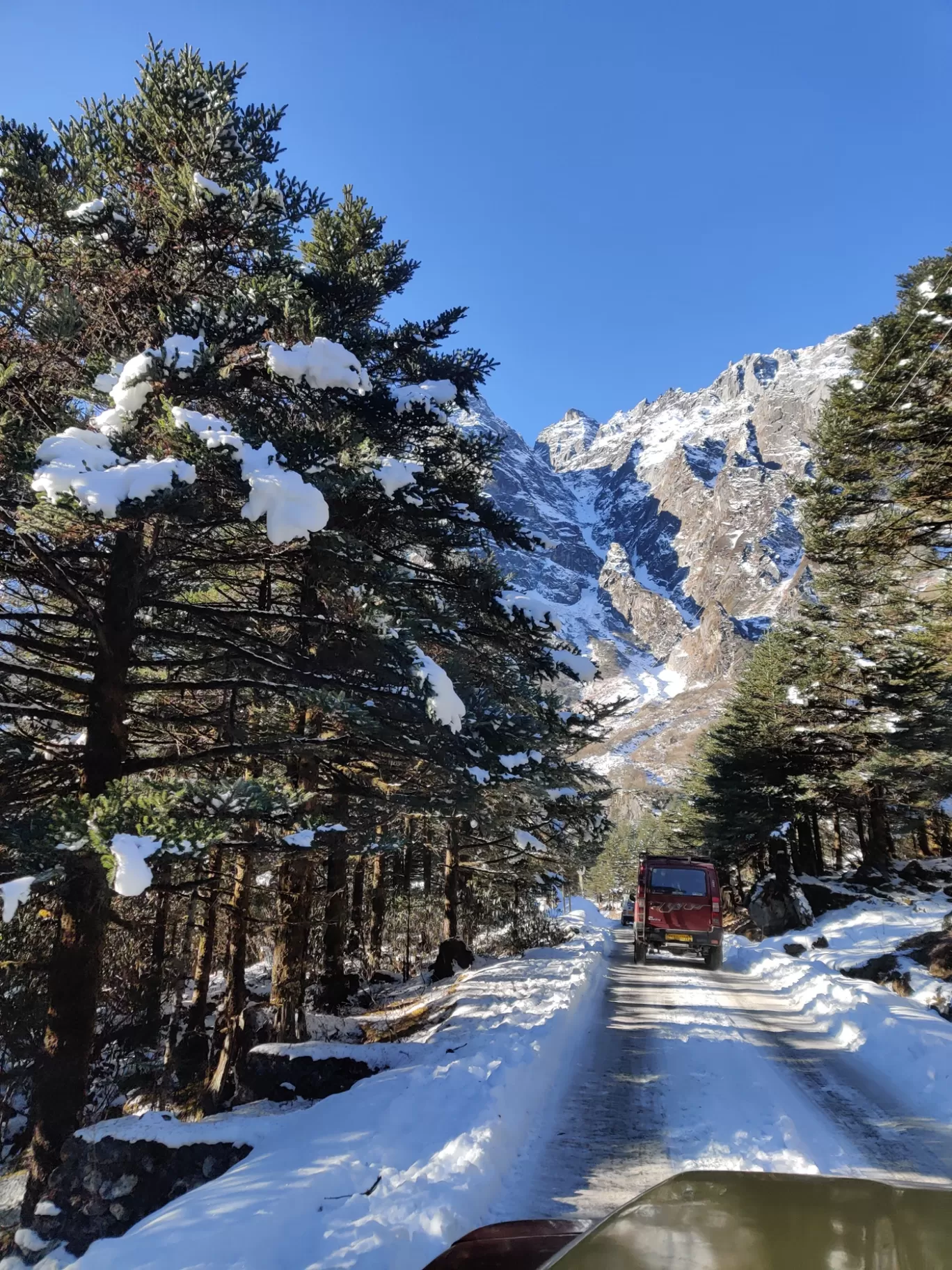 Photo of BUNBUNI By Ias Mounika