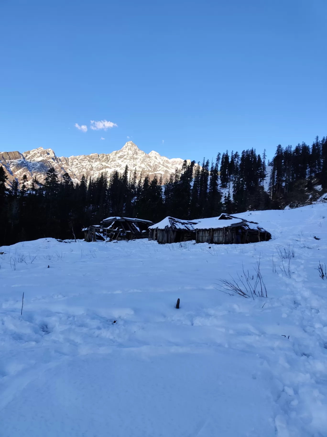 Photo of BUNBUNI By Ias Mounika