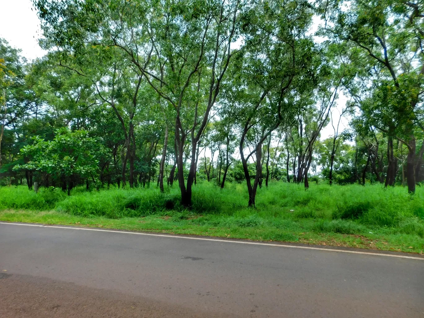 Photo of Aguada Fort By Pradipkumar Ahire