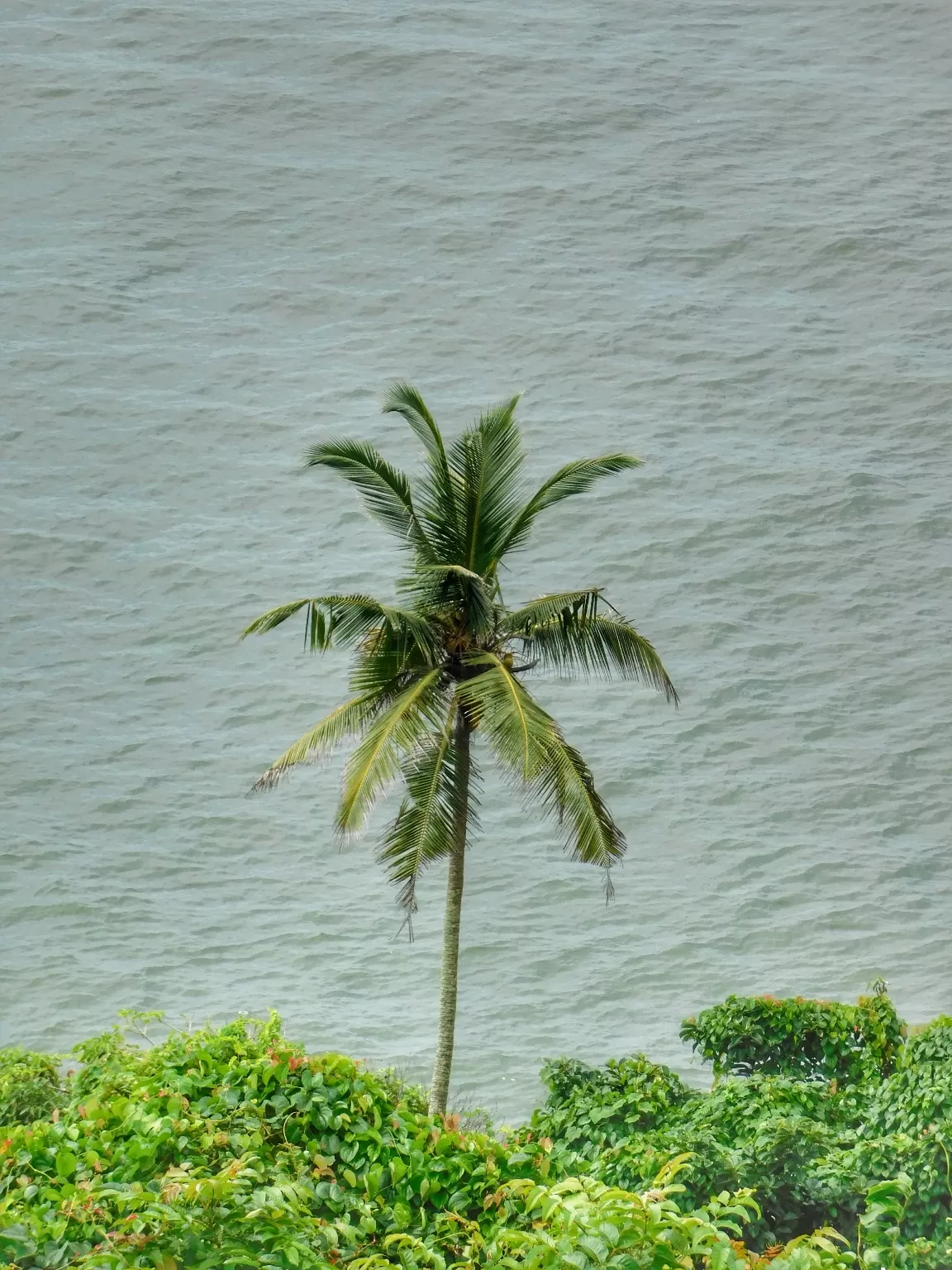 Photo of Aguada Fort By Pradipkumar Ahire